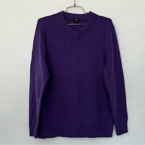 Express Wool Blend V-Neck Sweater Men's Purple Long Sleeve